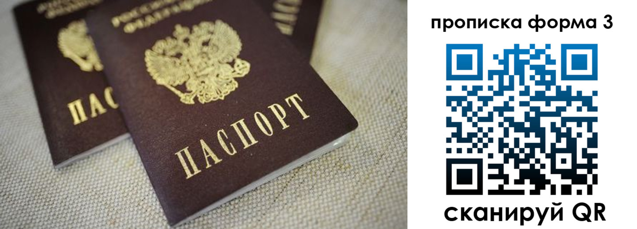 прописка поиск в Судогде